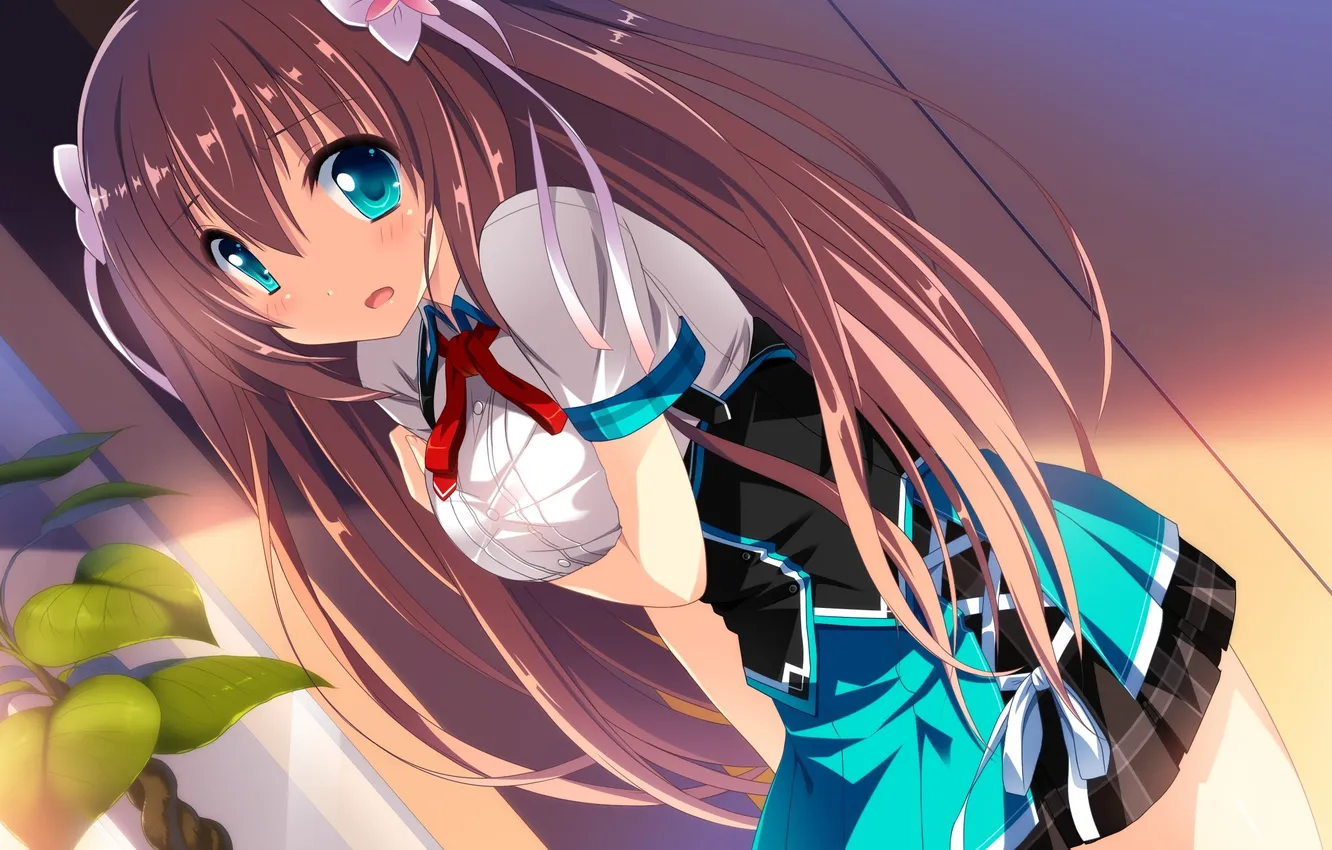 Photo wallpaper look, girl, flowers, surprise, art, cocoro@function!, hasugase mina