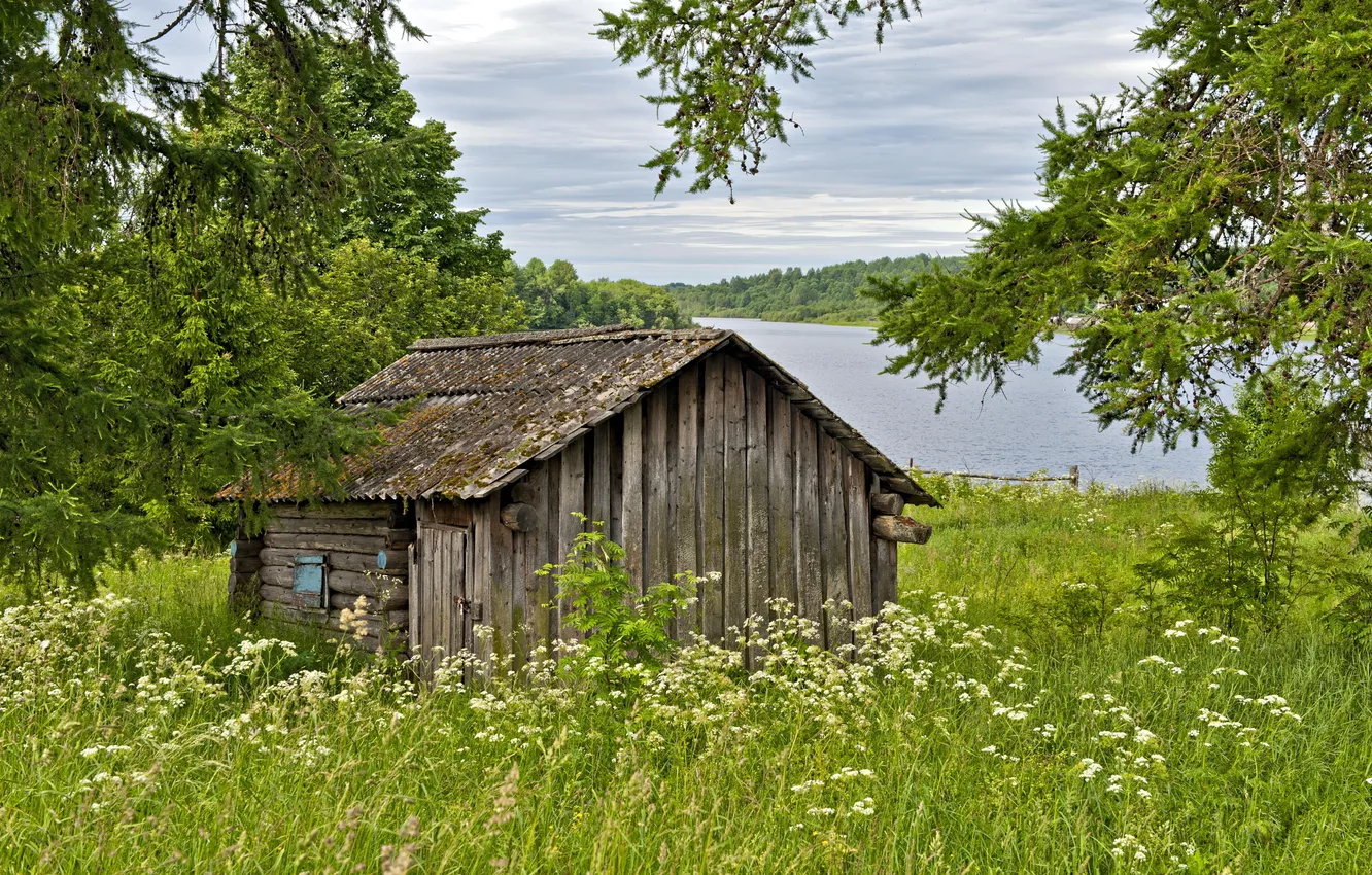 Photo wallpaper forest, landscape, river, home