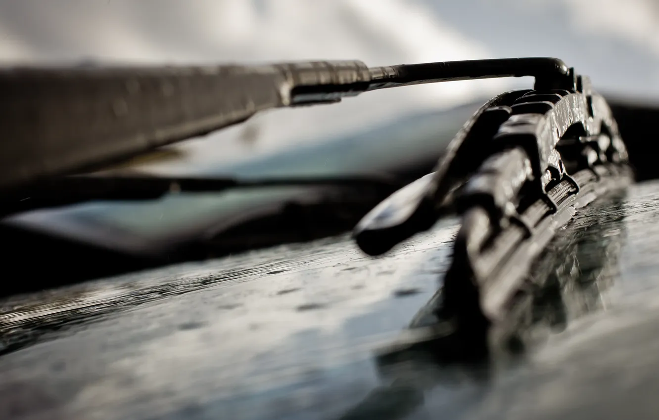 Photo wallpaper macro, Wiper, wiper