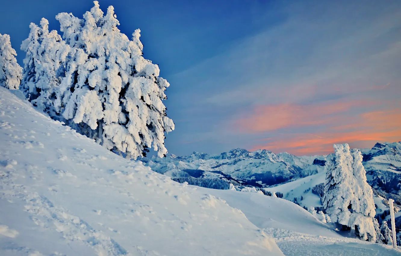 Photo wallpaper winter, snow, trees, mountains, slope, snowy