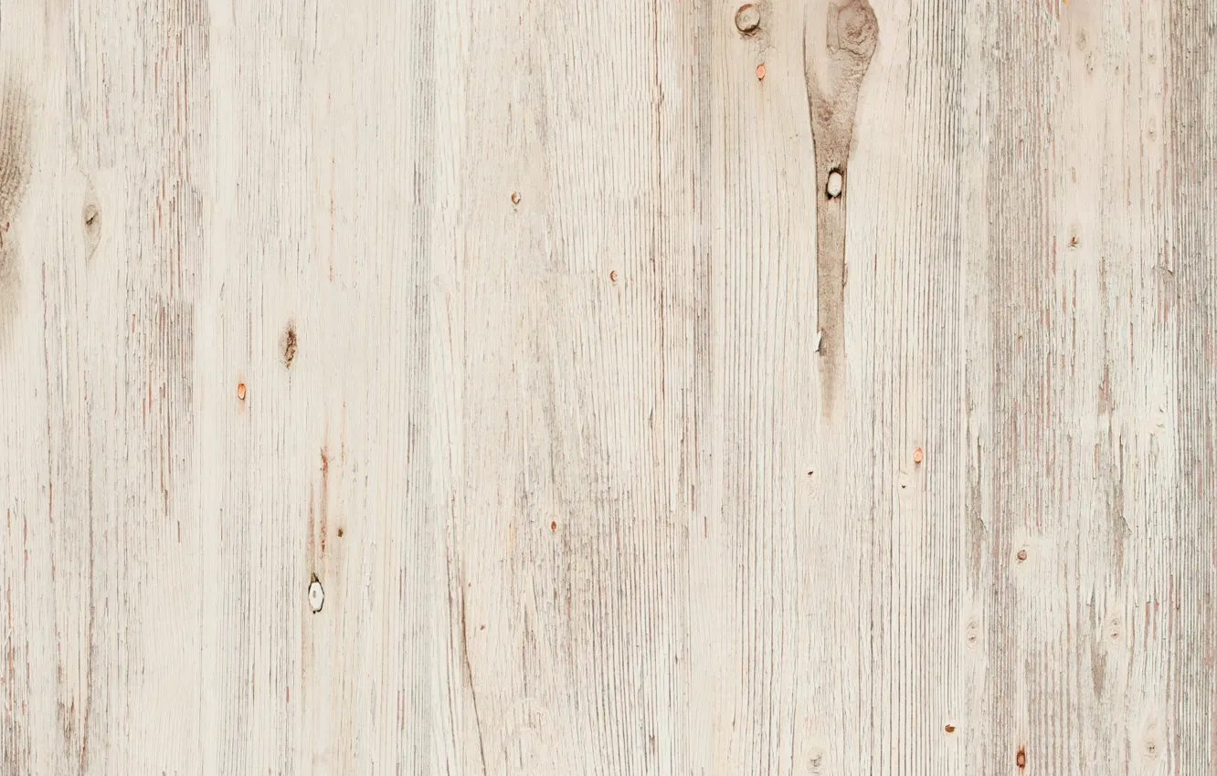 Photo wallpaper trees, Board, structure