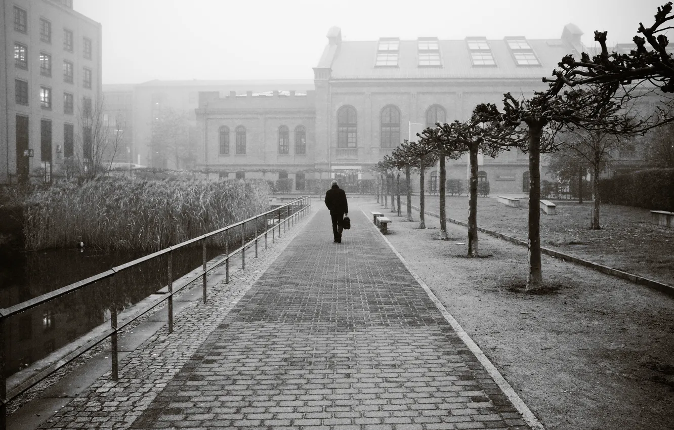 Photo wallpaper city, fog, elderly