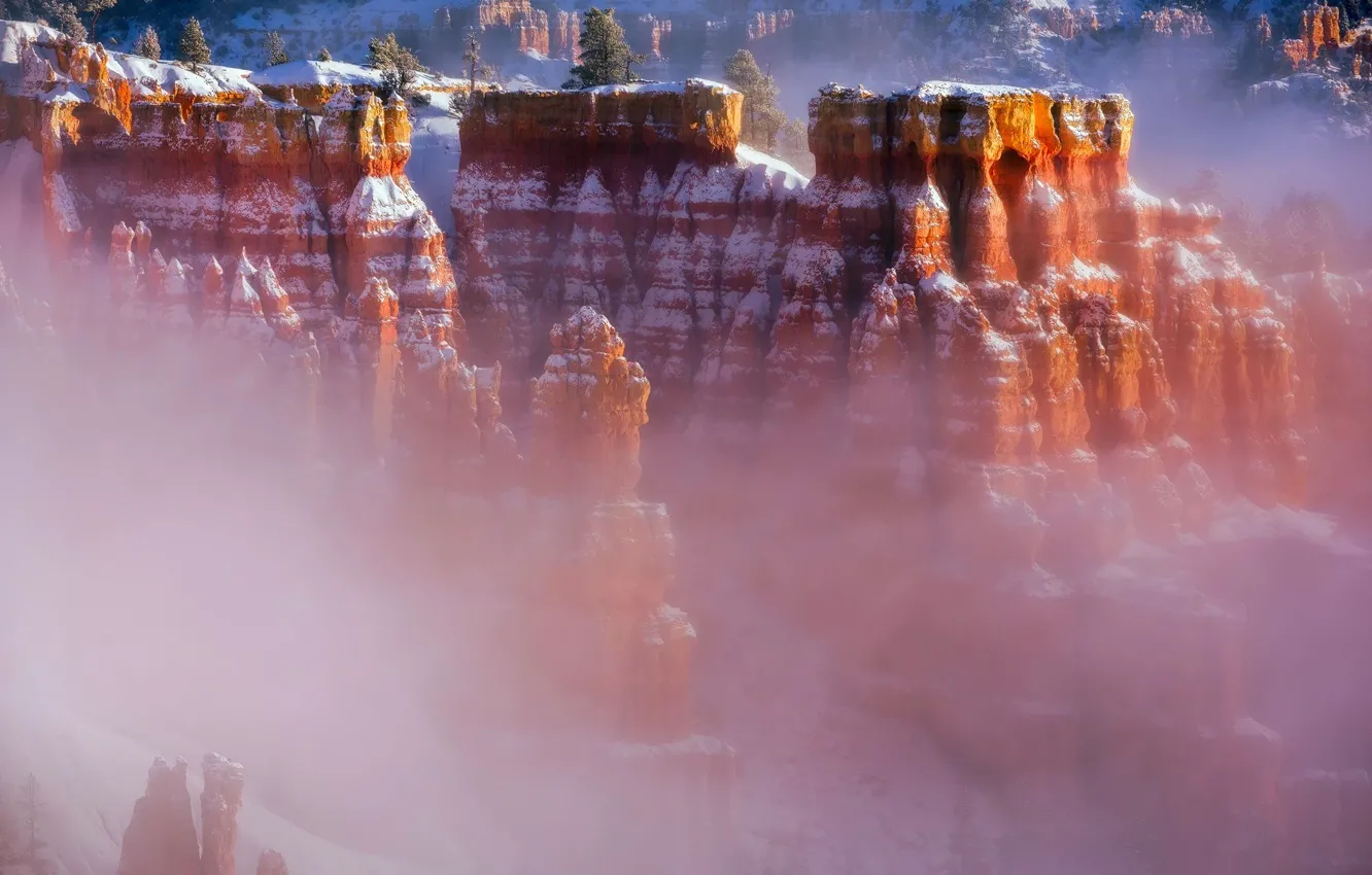 Photo wallpaper winter, snow, fog, canyon