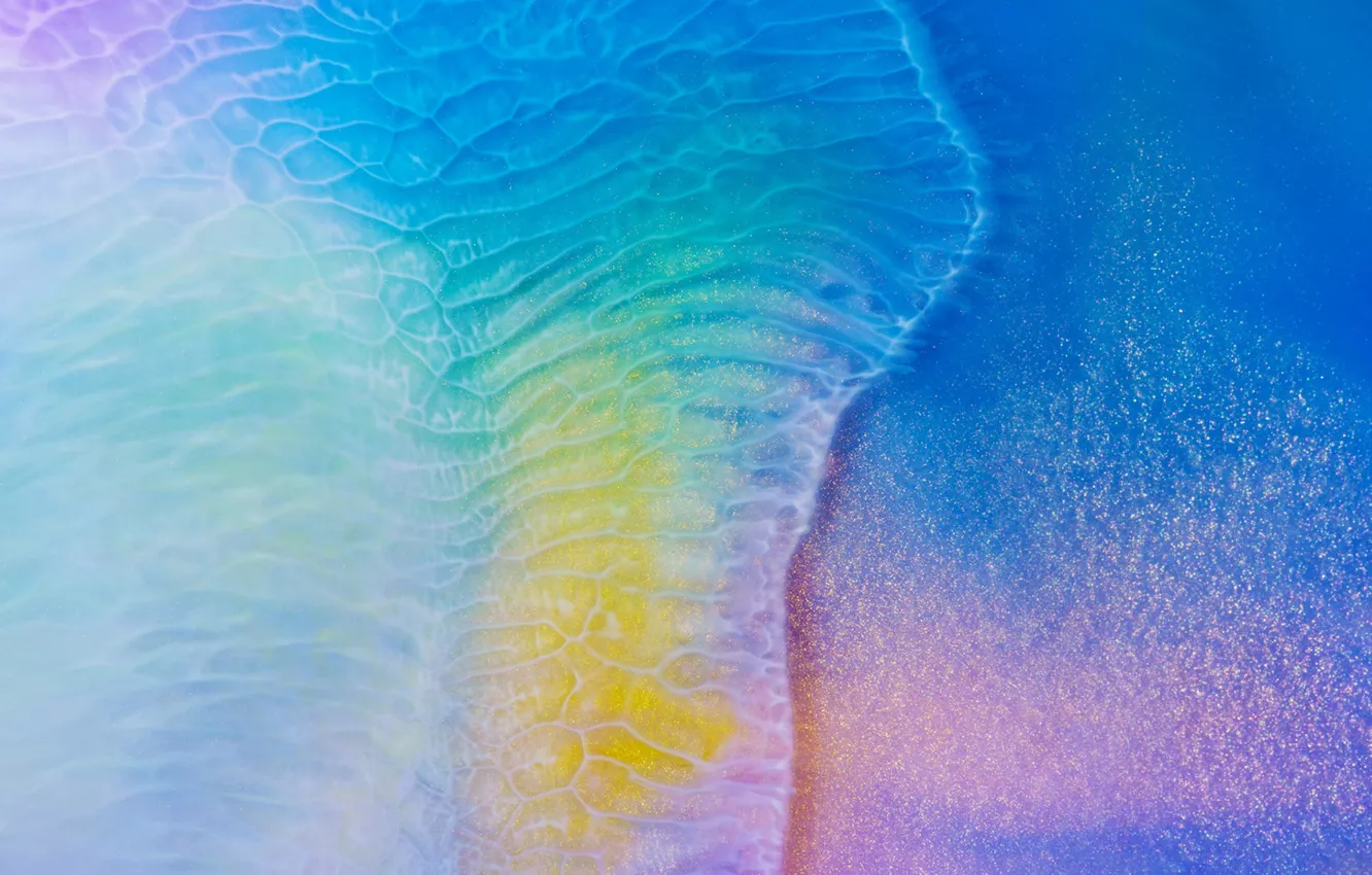 Photo wallpaper sea, jellyfish, colorful