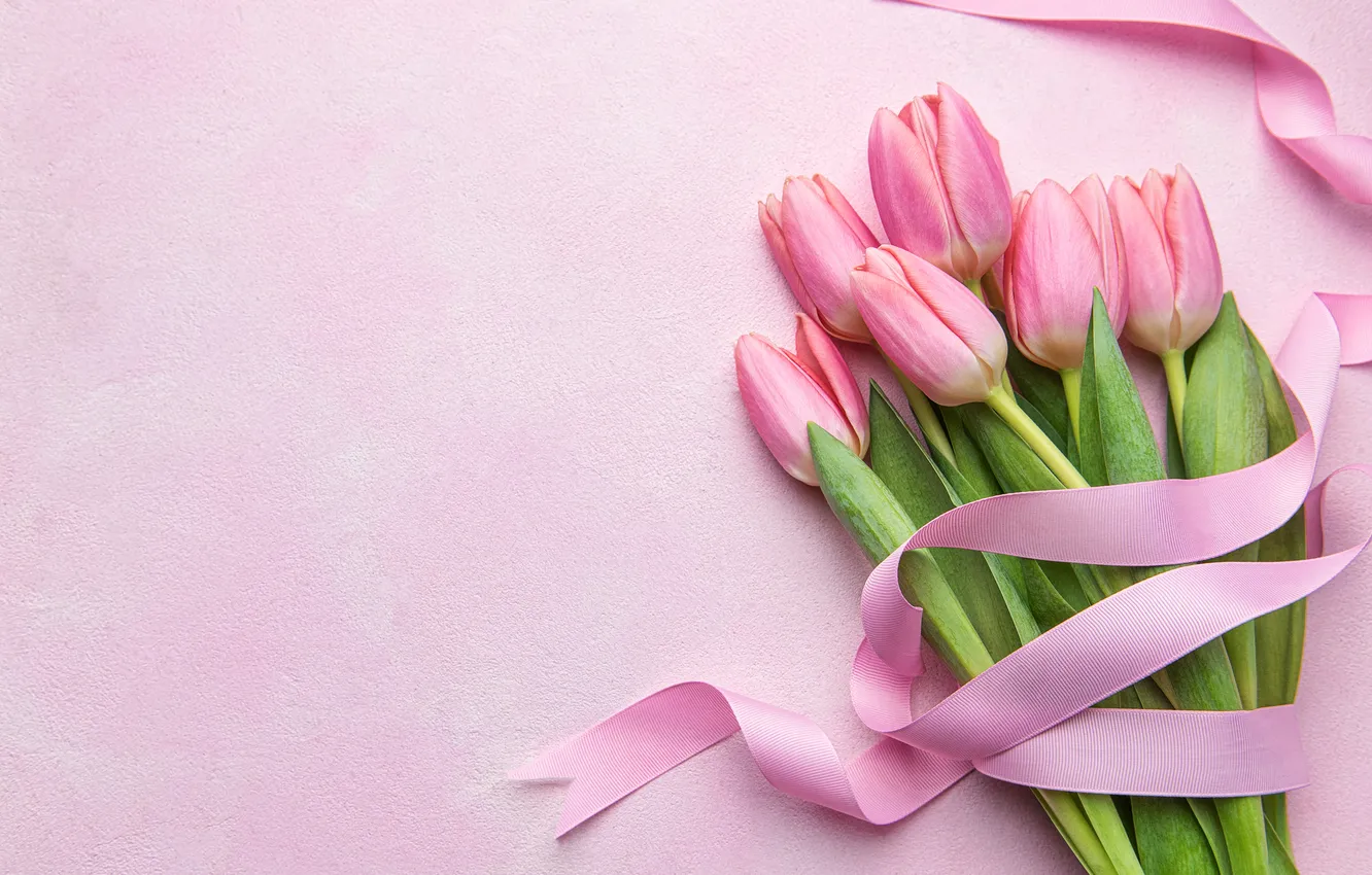 Photo wallpaper flowers, bouquet, tape, tulips, pink, flowers, tulips, spring