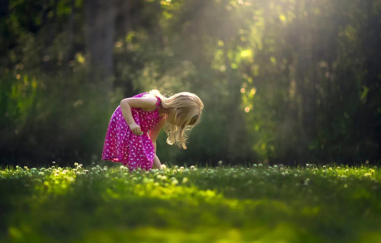 Photo wallpaper the sun, nature, dress, girl, In The Clover