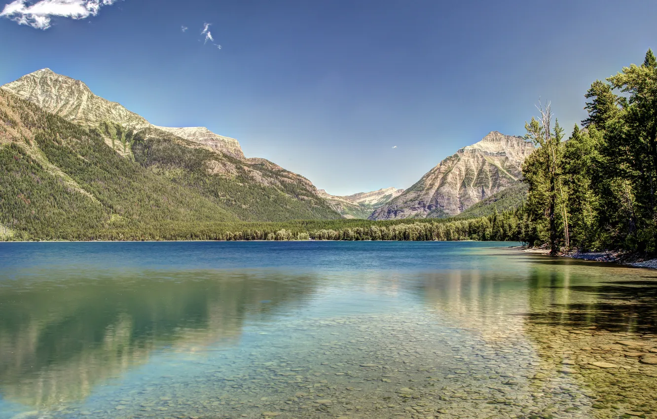 Photo wallpaper forest, mountains, the bottom, Montana, Glacier National Park, Montana, Glacier national Park, Lake McDonald
