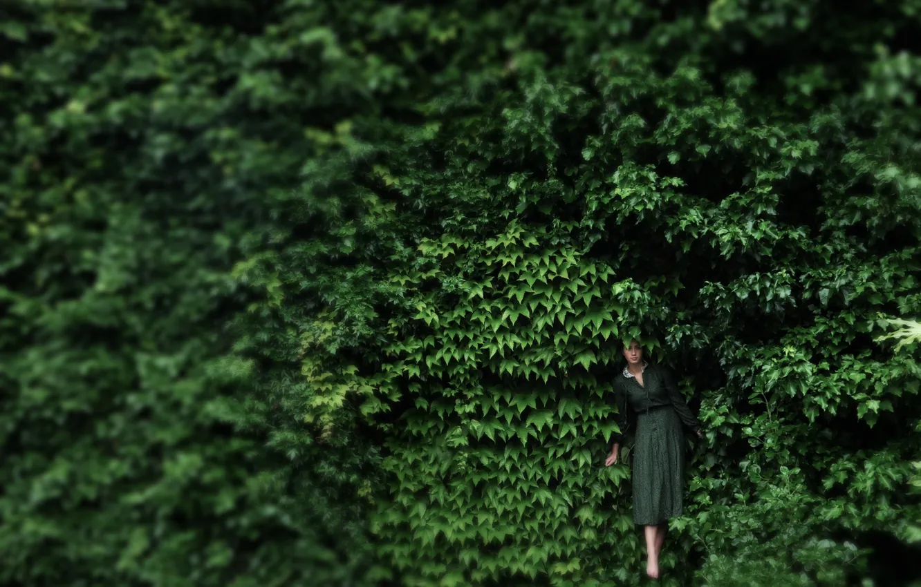 Photo wallpaper girl, foliage, dress