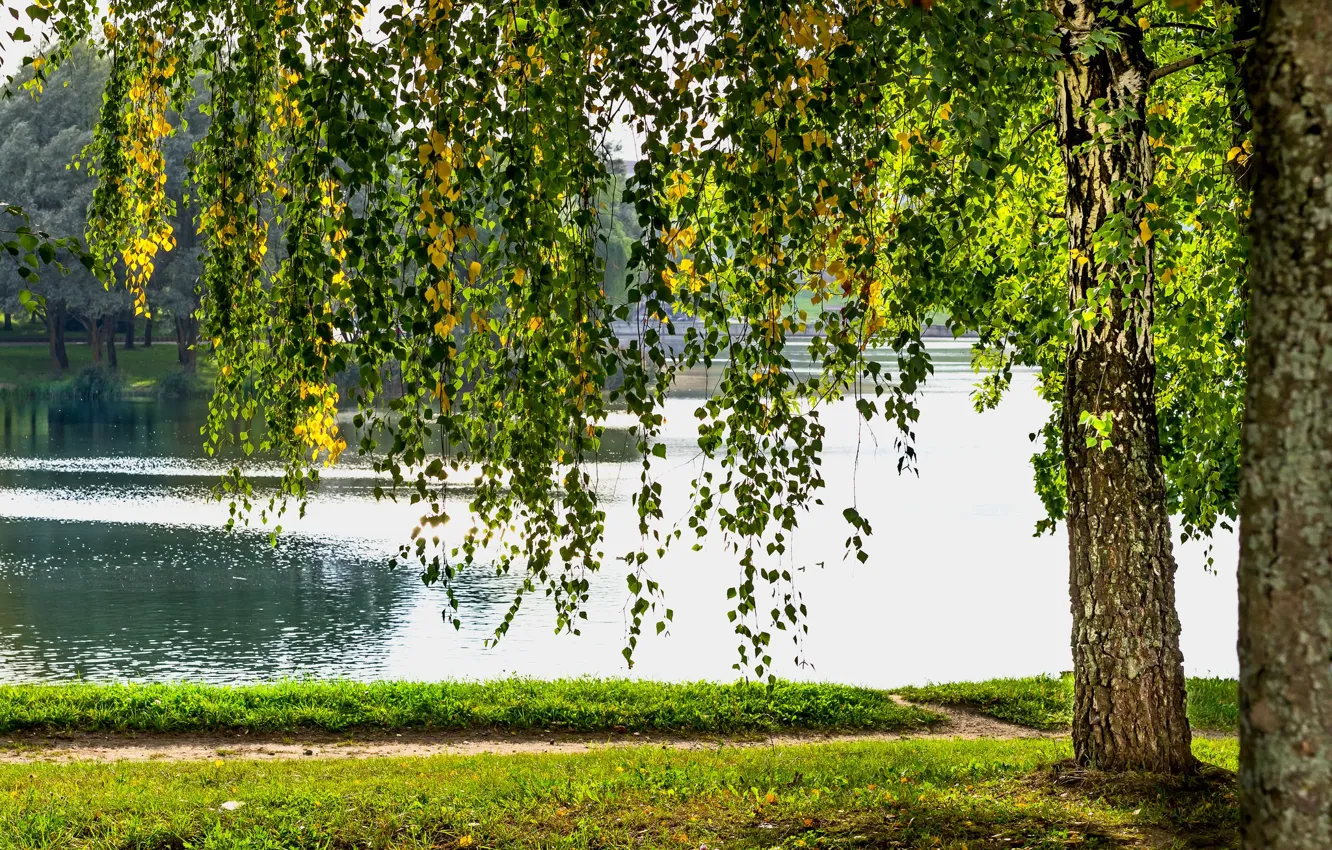Photo wallpaper autumn, leaves, trees, pond