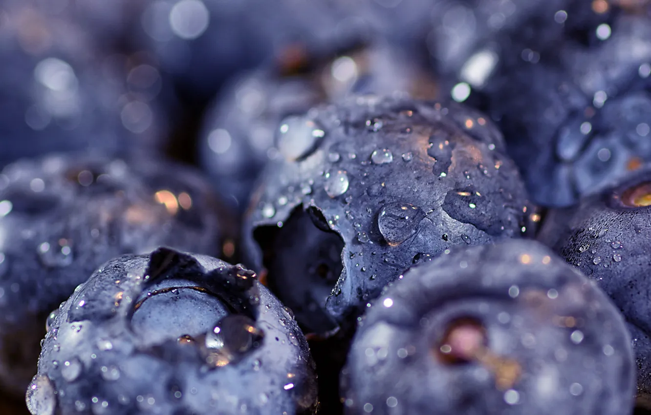 Photo wallpaper drops, macro, berries, blueberries, bokeh