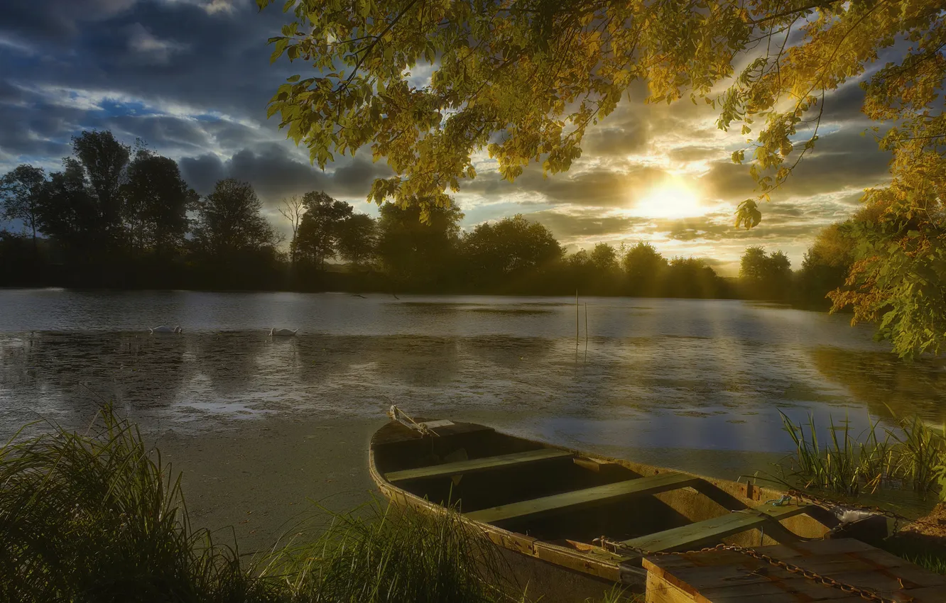 Photo wallpaper autumn, the sky, grass, the sun, clouds, rays, light, trees
