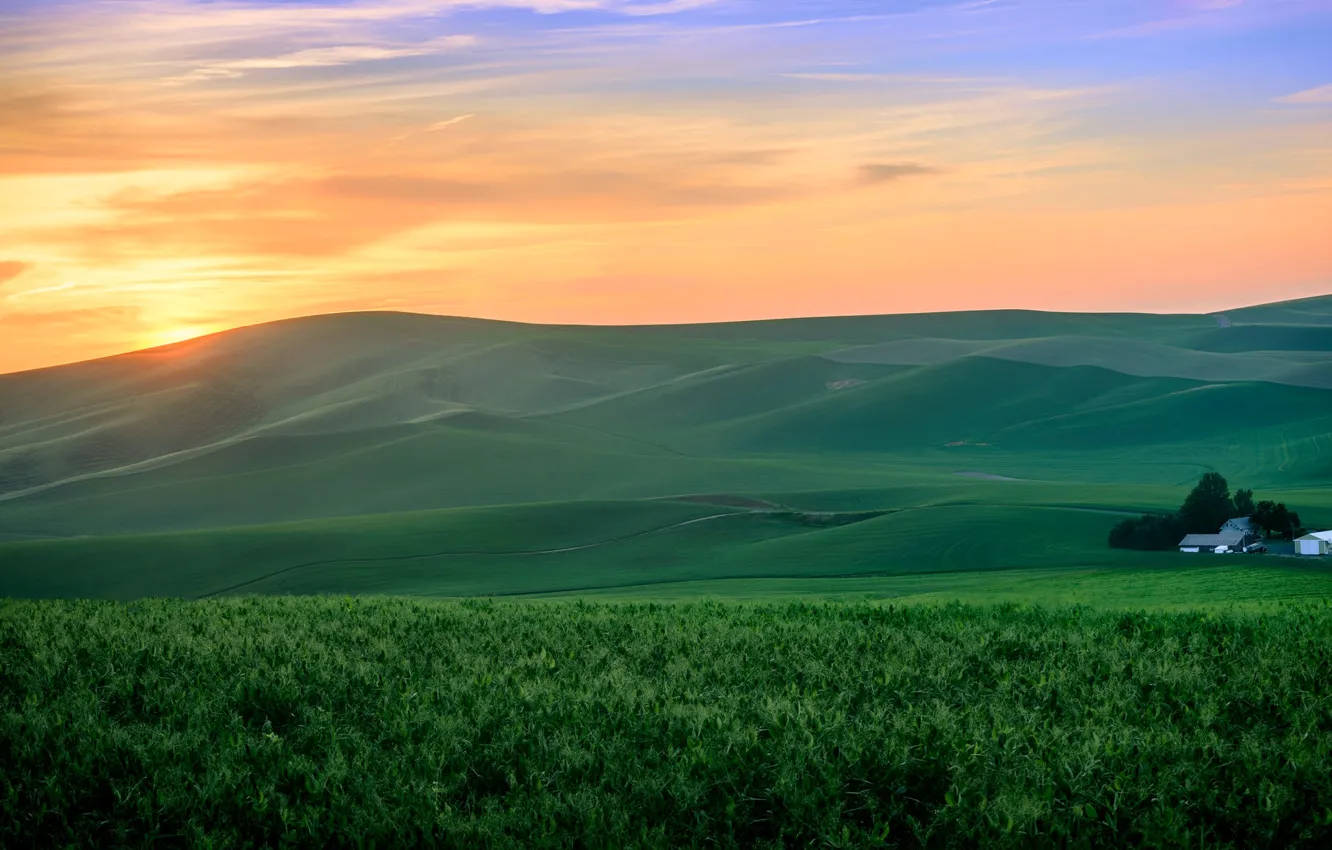 Photo wallpaper field, grass, sunset, green, hills, home, farm, orange sky