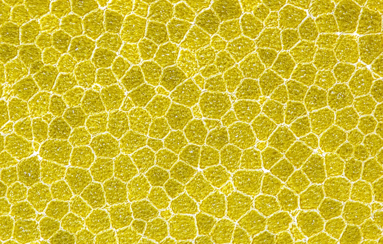 Photo wallpaper macro, abstraction, texture, polystyrene