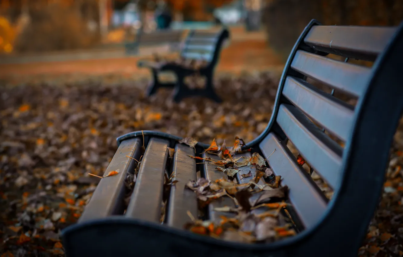 Photo wallpaper autumn, Park, bench