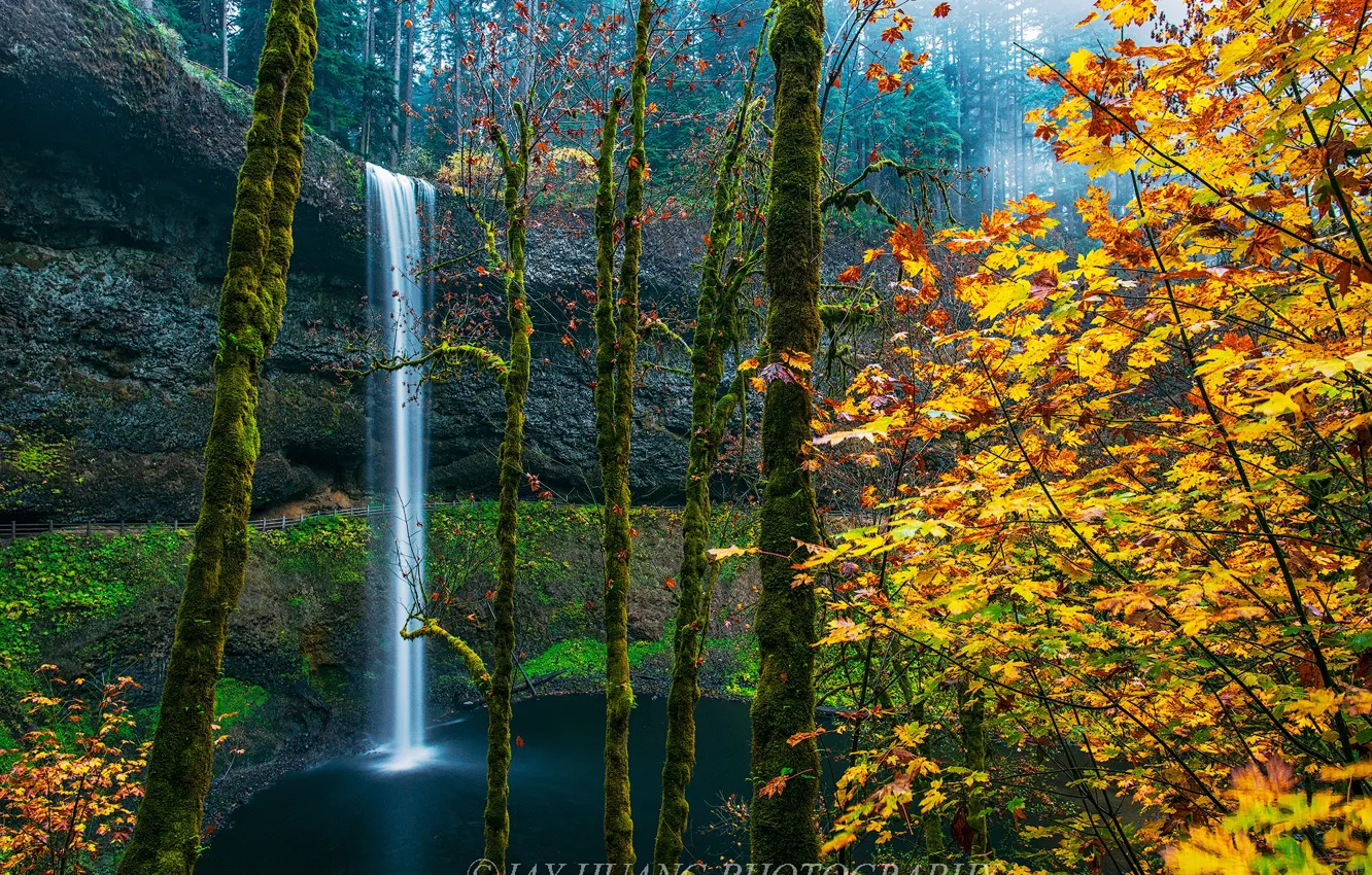 Photo wallpaper autumn, forest, lake, waterfall