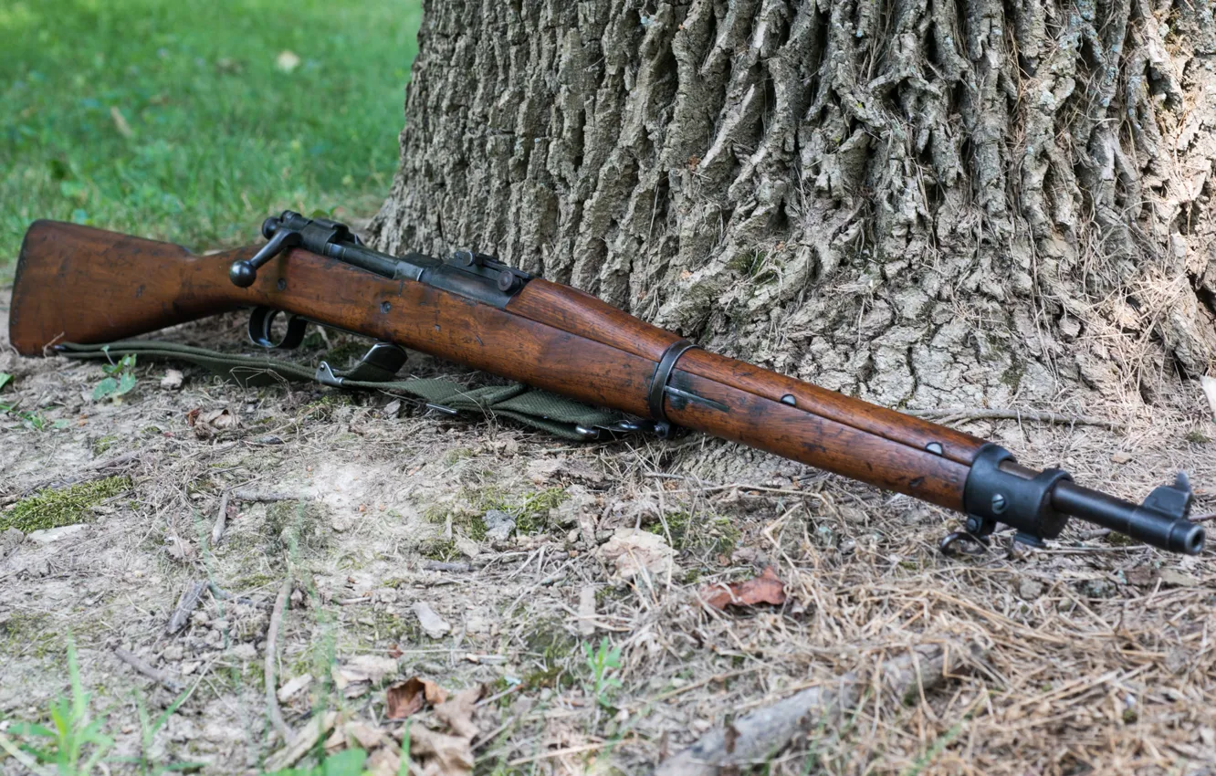 Photo wallpaper trees, weapons, rifle, Springfield, 1903