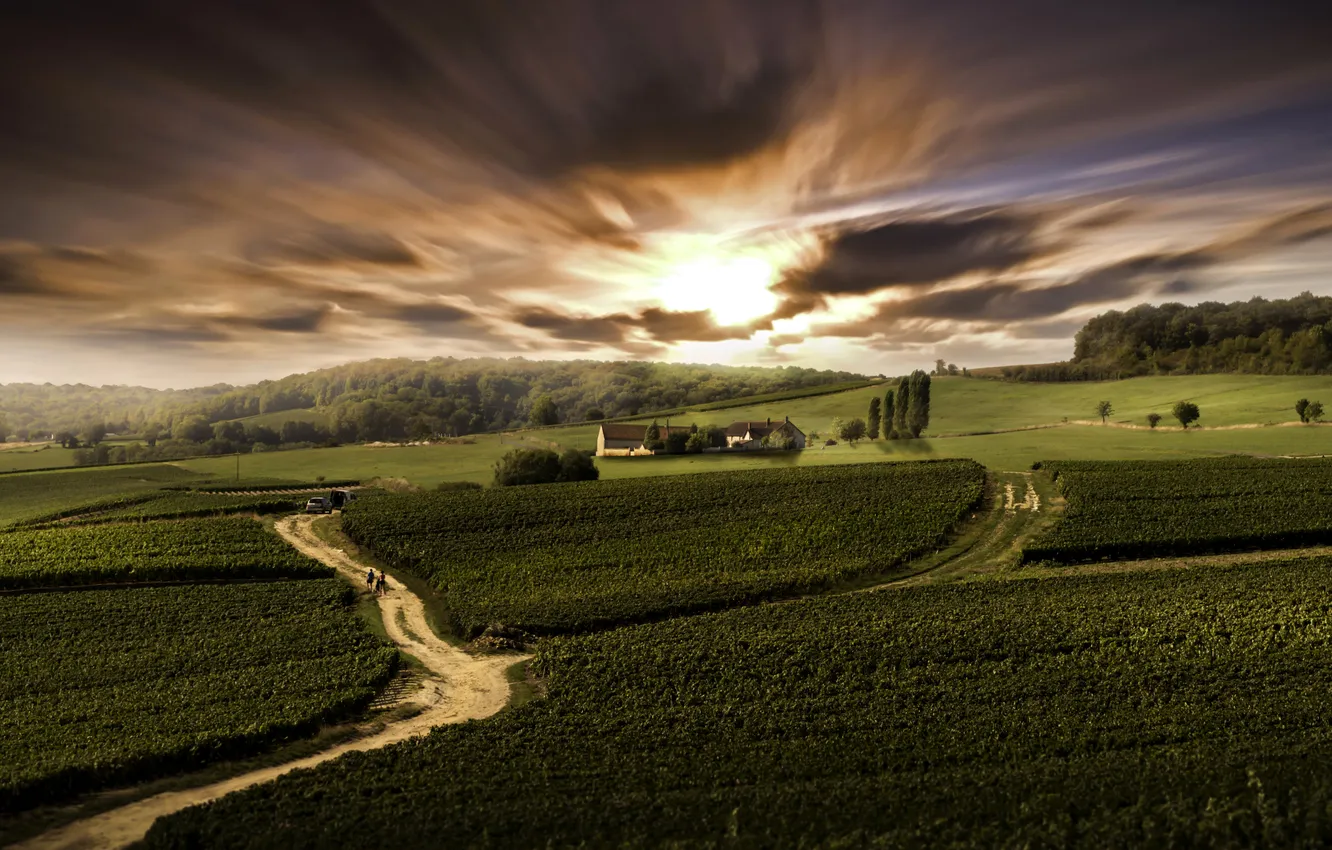 Photo wallpaper road, the sky, trees, France, field, glow, houses, plantation