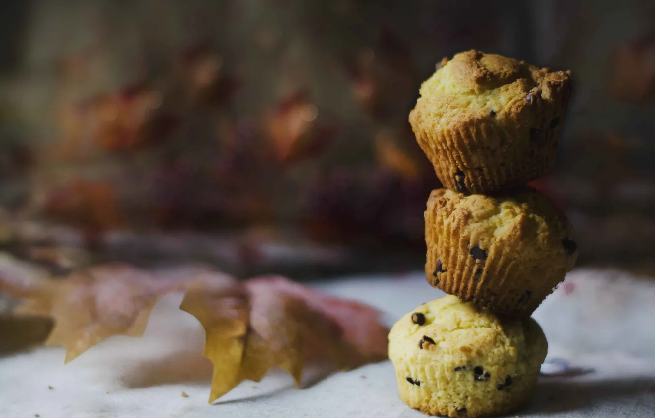 Photo wallpaper leaves, food, cakes, cupcakes