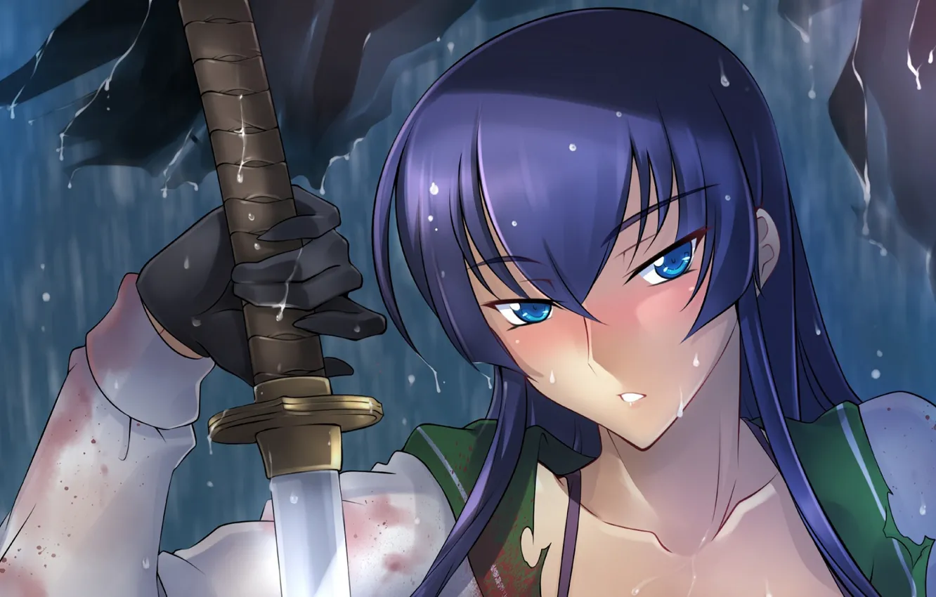 Photo wallpaper look, girl, sword, Highschool of the Dead