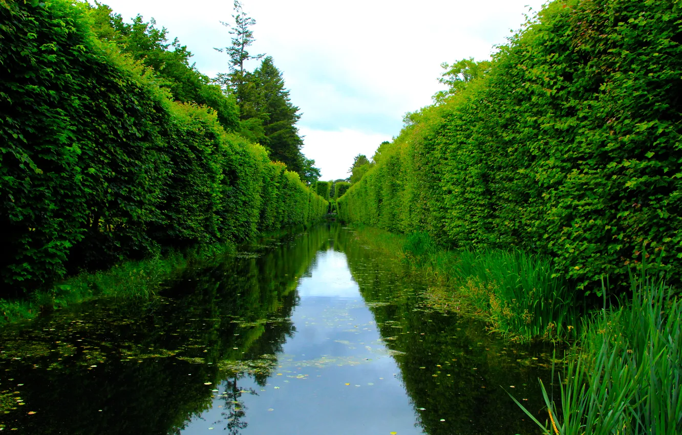 Photo wallpaper park, lake, pond