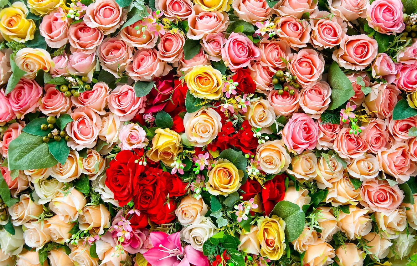 Photo wallpaper flowers, roses, carpet