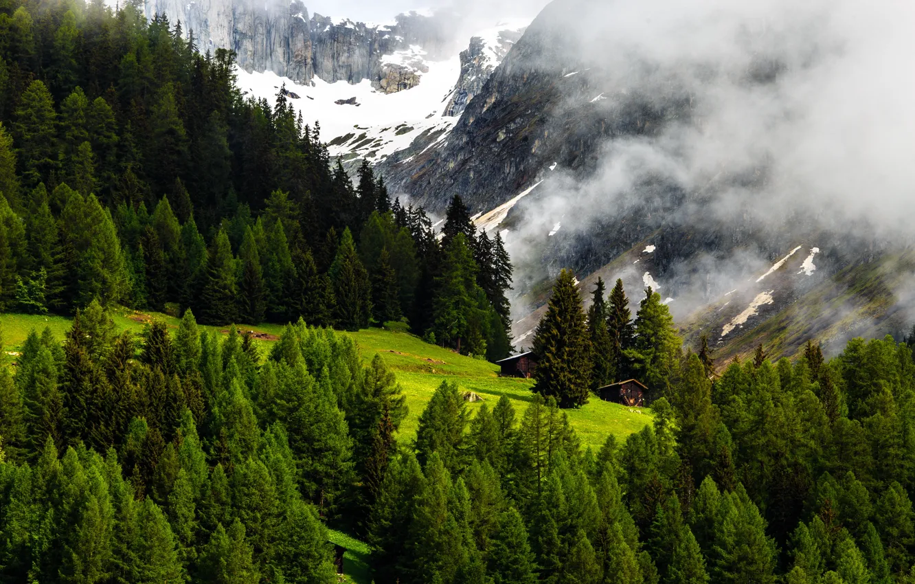 Photo wallpaper Nature, Mountains, Switzerland, Forest, Alps