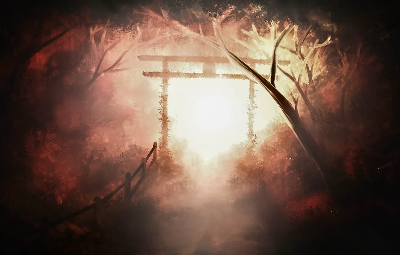 Photo wallpaper road, forest, torii