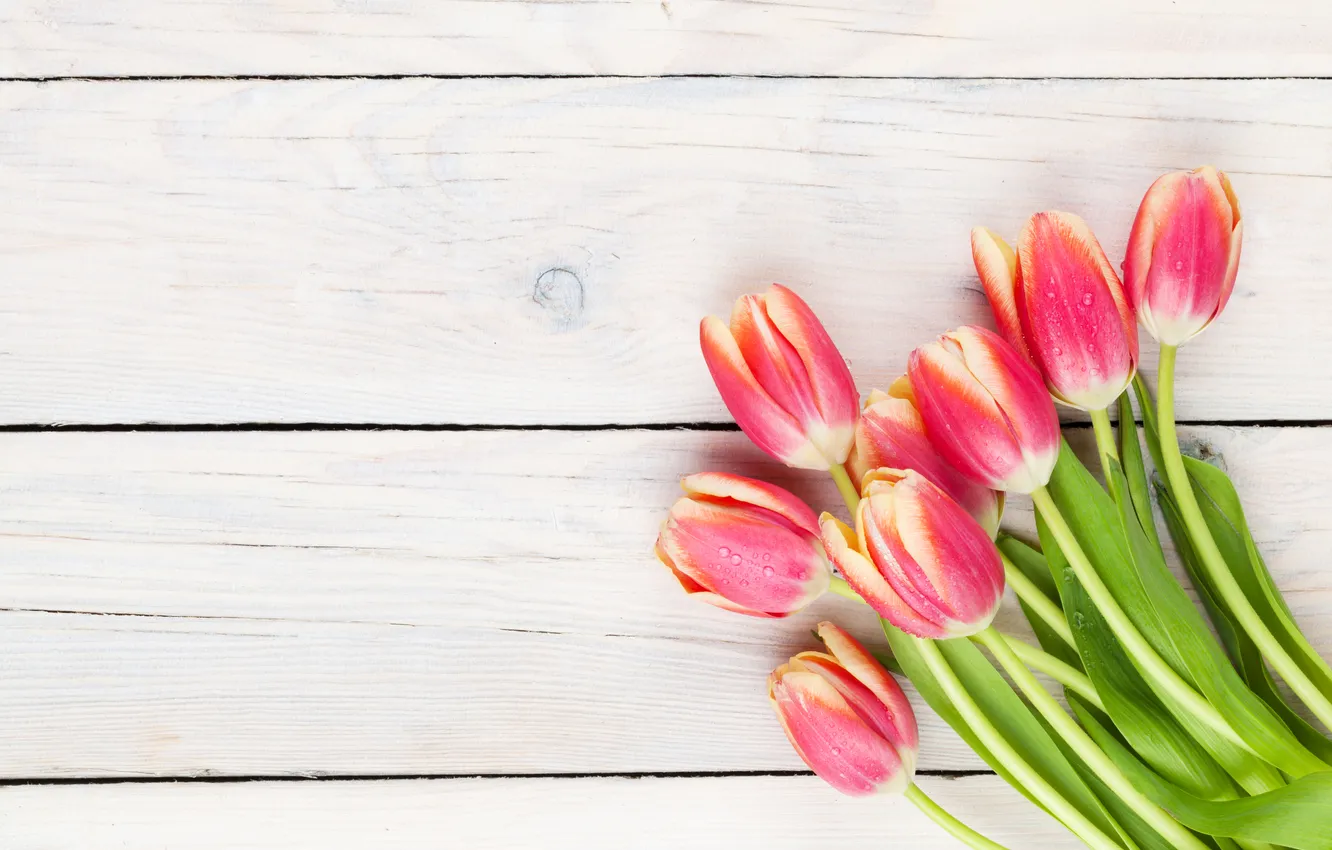 Photo wallpaper flowers, red, bouquet, tulips, red, wood, flowers, tulips