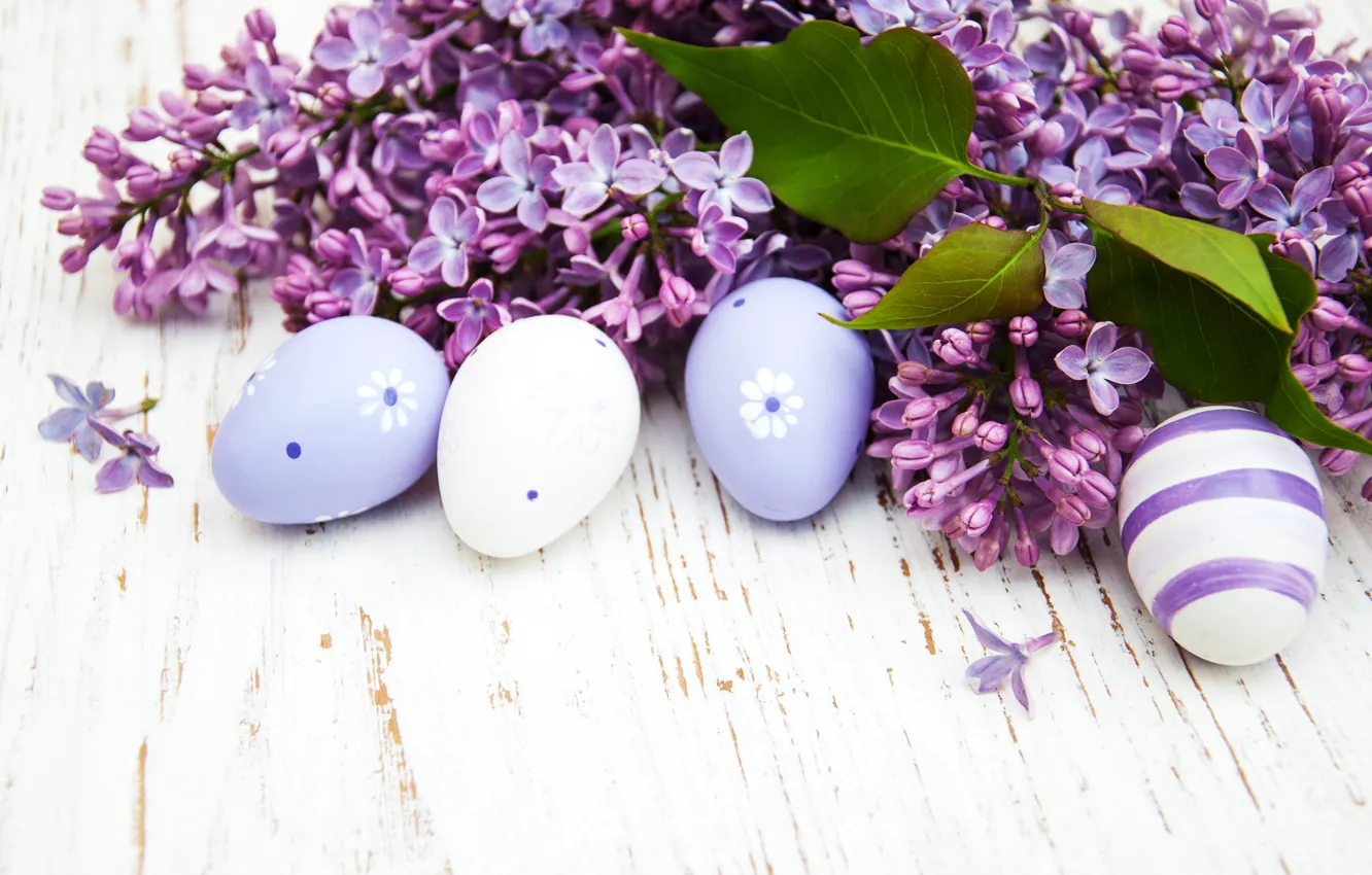 Photo wallpaper branches, eggs, spring, Easter, lilac, composition, Olena Rudo