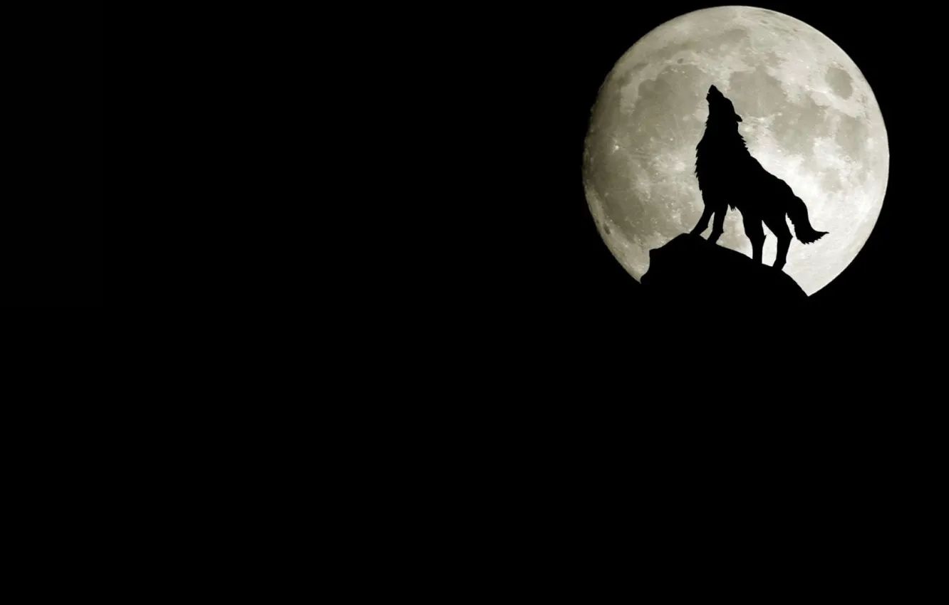 Photo wallpaper rock, the moon, wolf, silhouette, howling