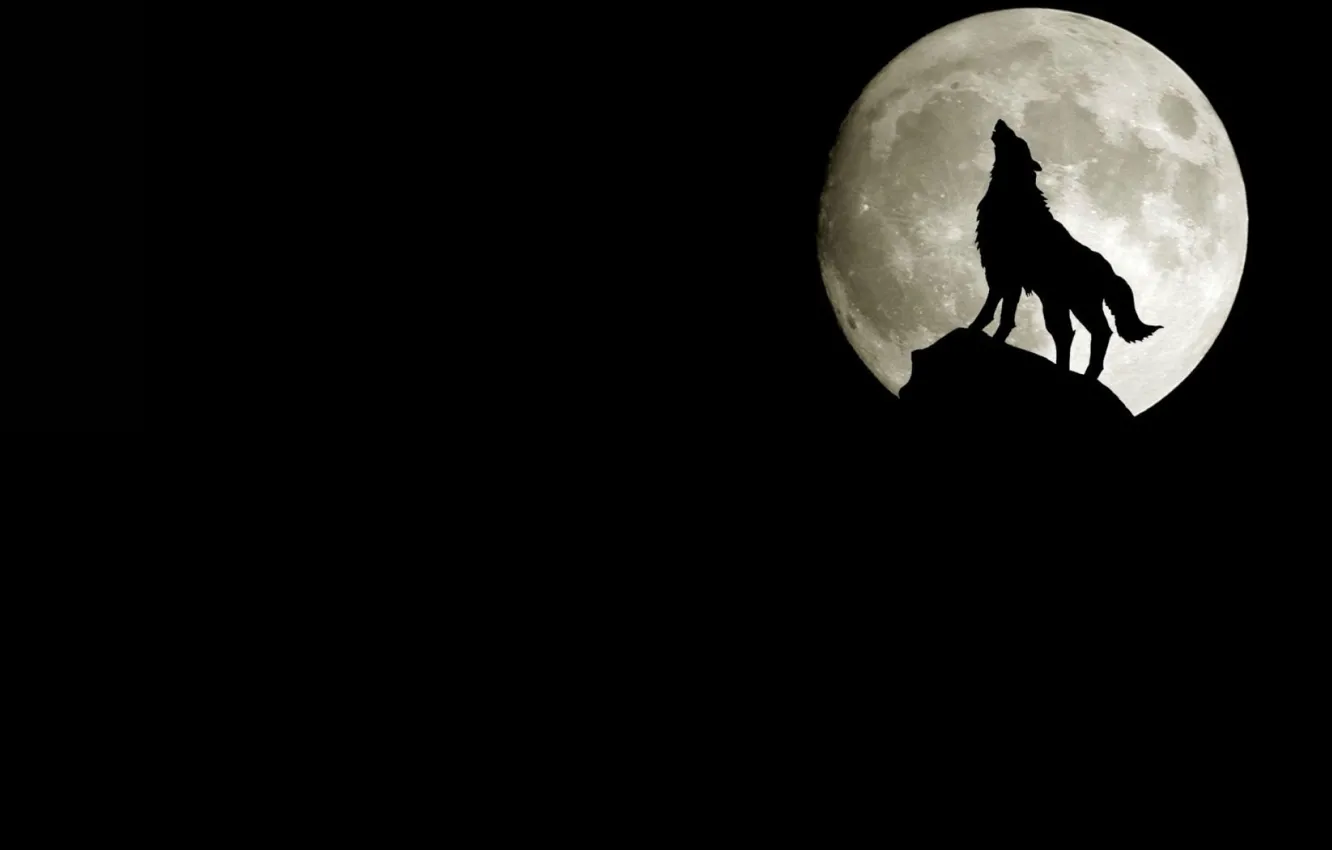 Photo wallpaper rocks, the moon, wolf, silhouette, howling