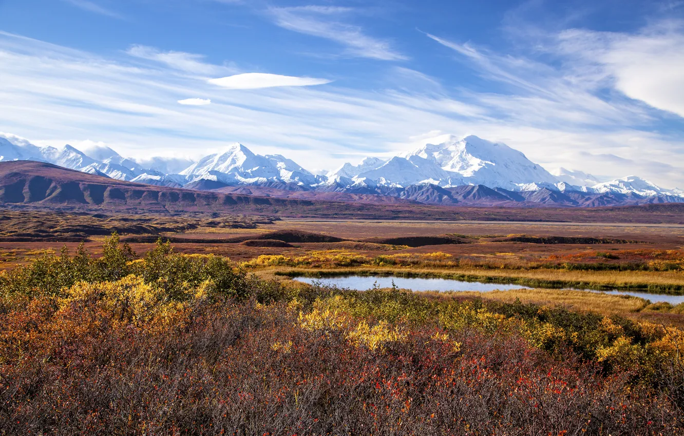 Photo wallpaper Alaska, mount McKinley, Denali national Park