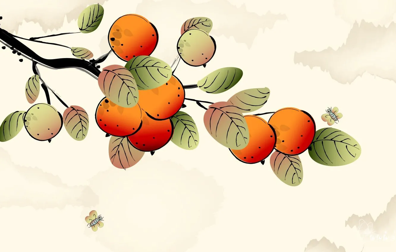 Photo wallpaper branches, art, watercolor, fruit