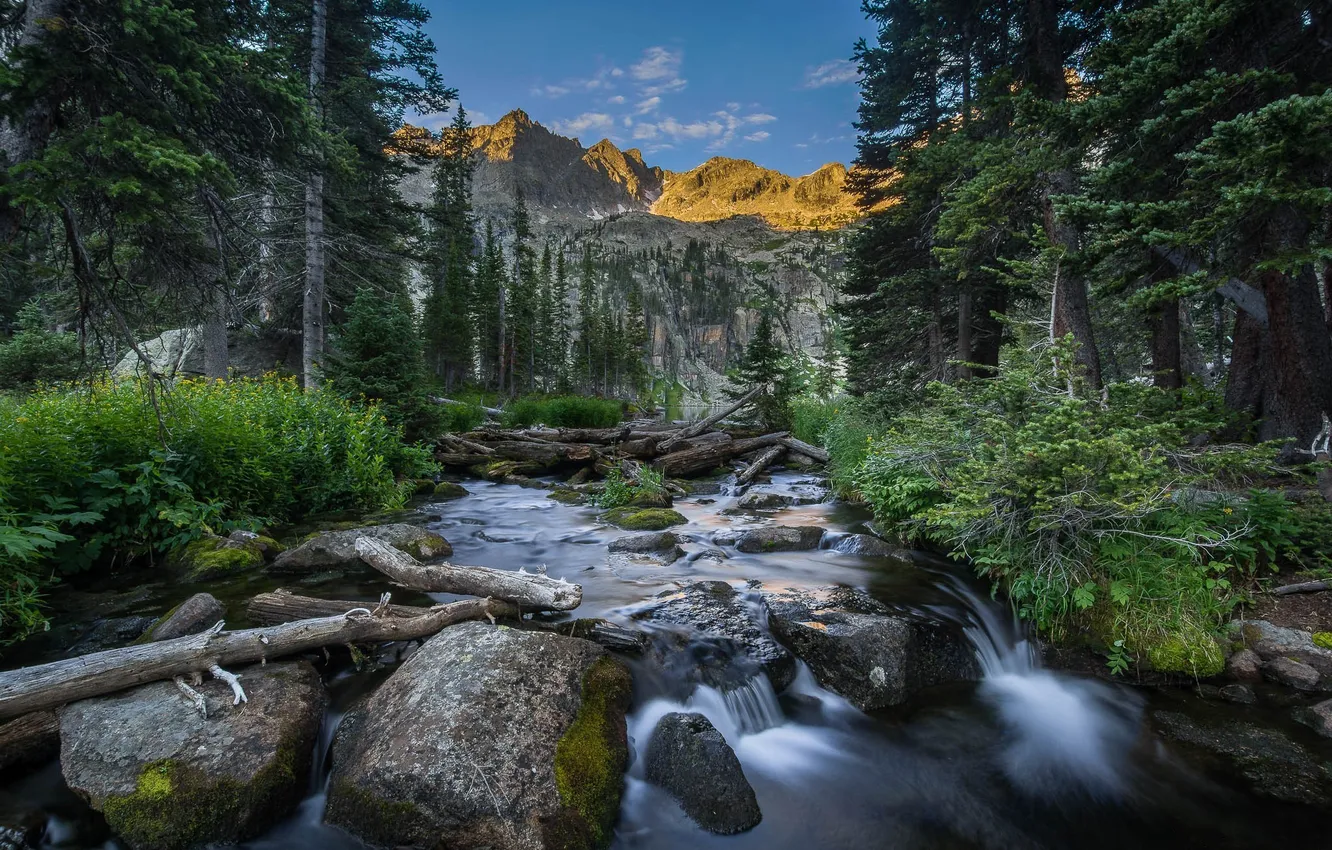 Photo wallpaper forest, the sky, trees, landscape, mountains, river, stones, thresholds