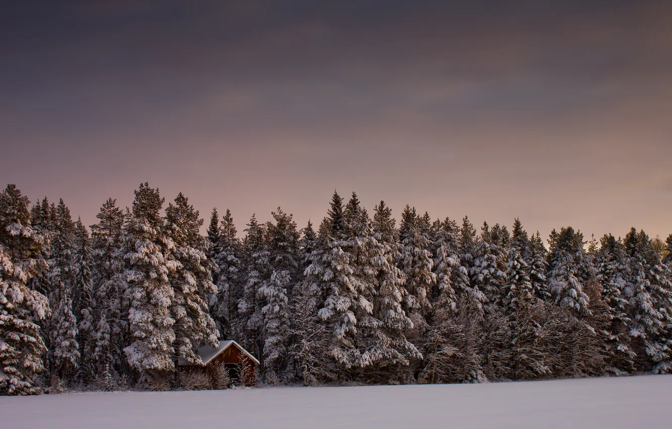 Photo wallpaper winter, forest, the sky, snow, trees, landscape, nature, house