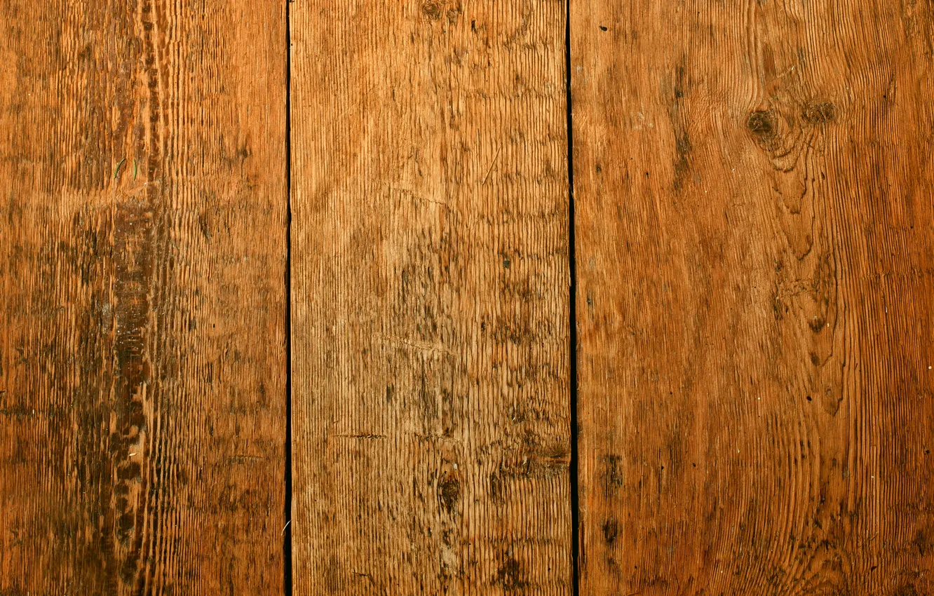 Photo wallpaper trees, Board, structure