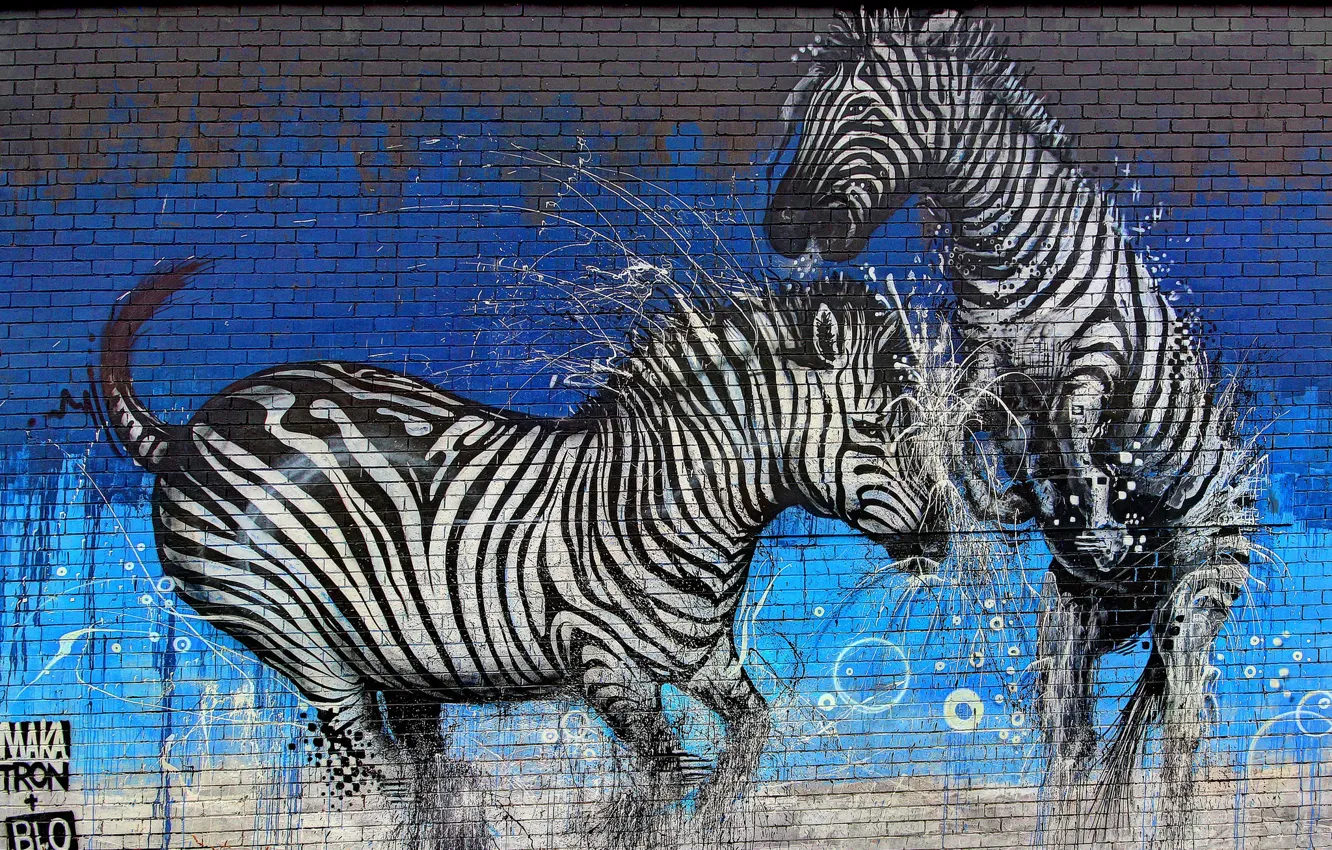 Photo wallpaper wall, paint, graffiti, Zebra, graffiti