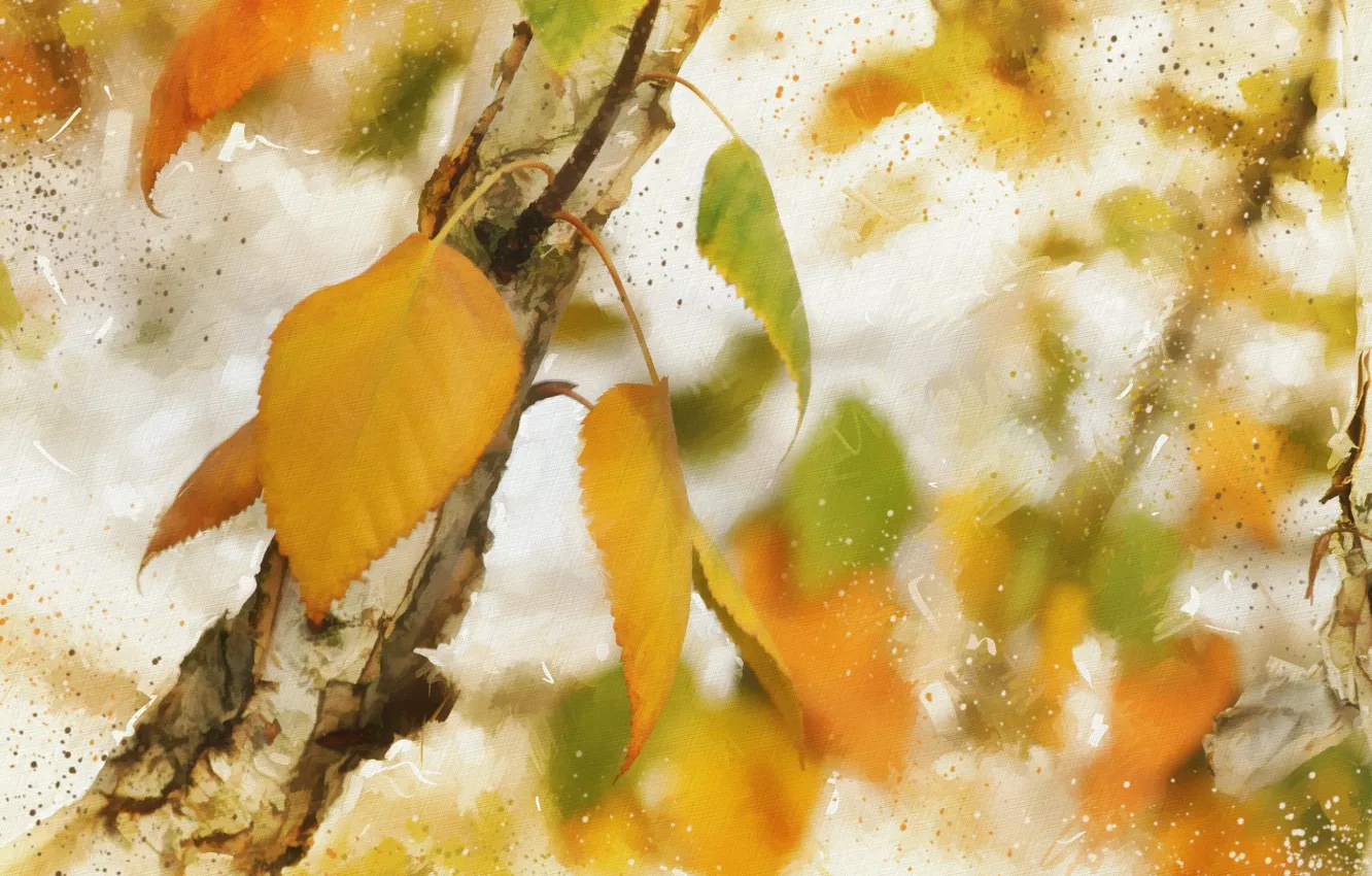 Photo wallpaper autumn, leaves, texture