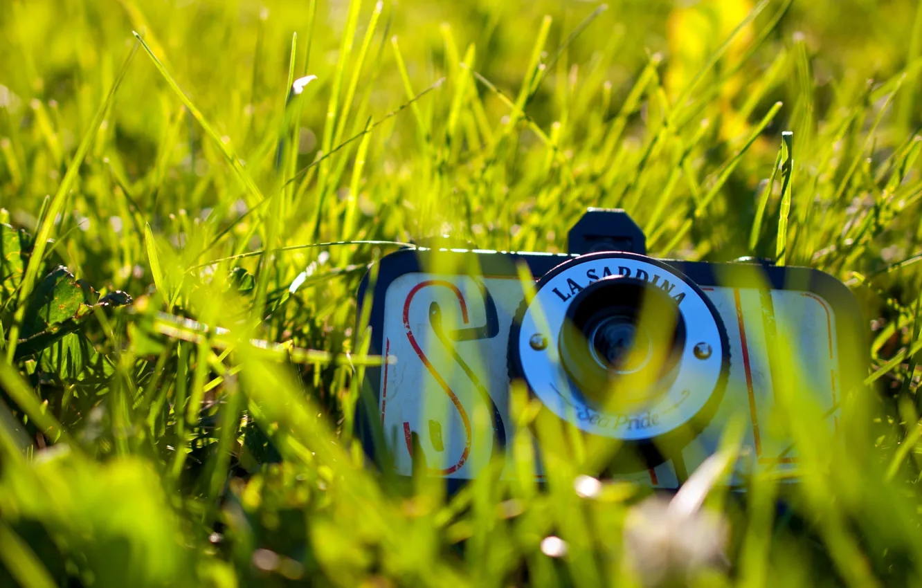 Photo wallpaper greens, grass, the sun, nature, background, mood, widescreen, Wallpaper
