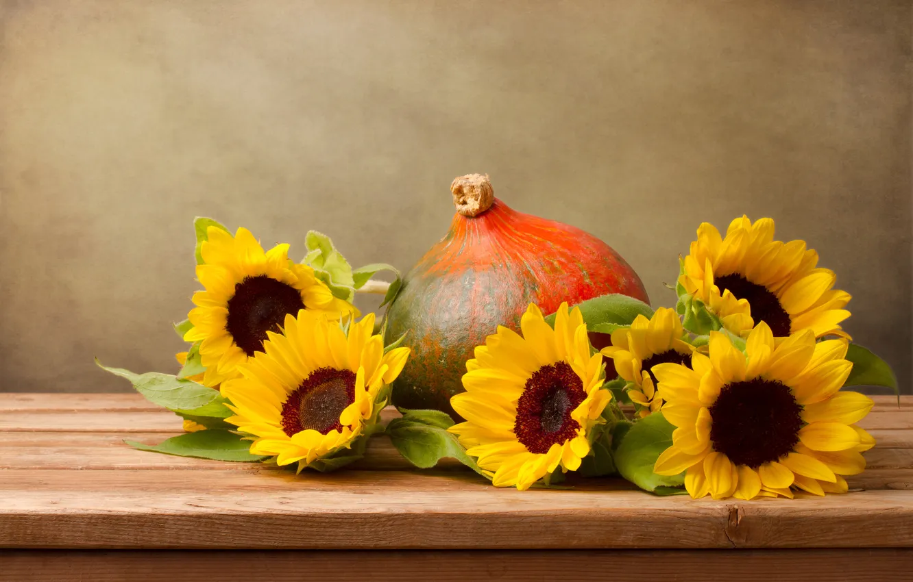Photo wallpaper flowers, sunflower, pumpkin
