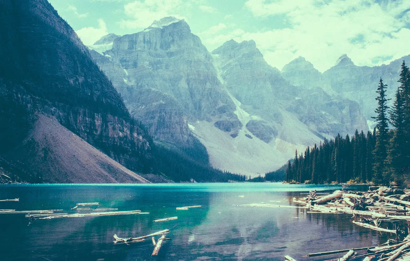 Photo wallpaper trees, mountains, lake