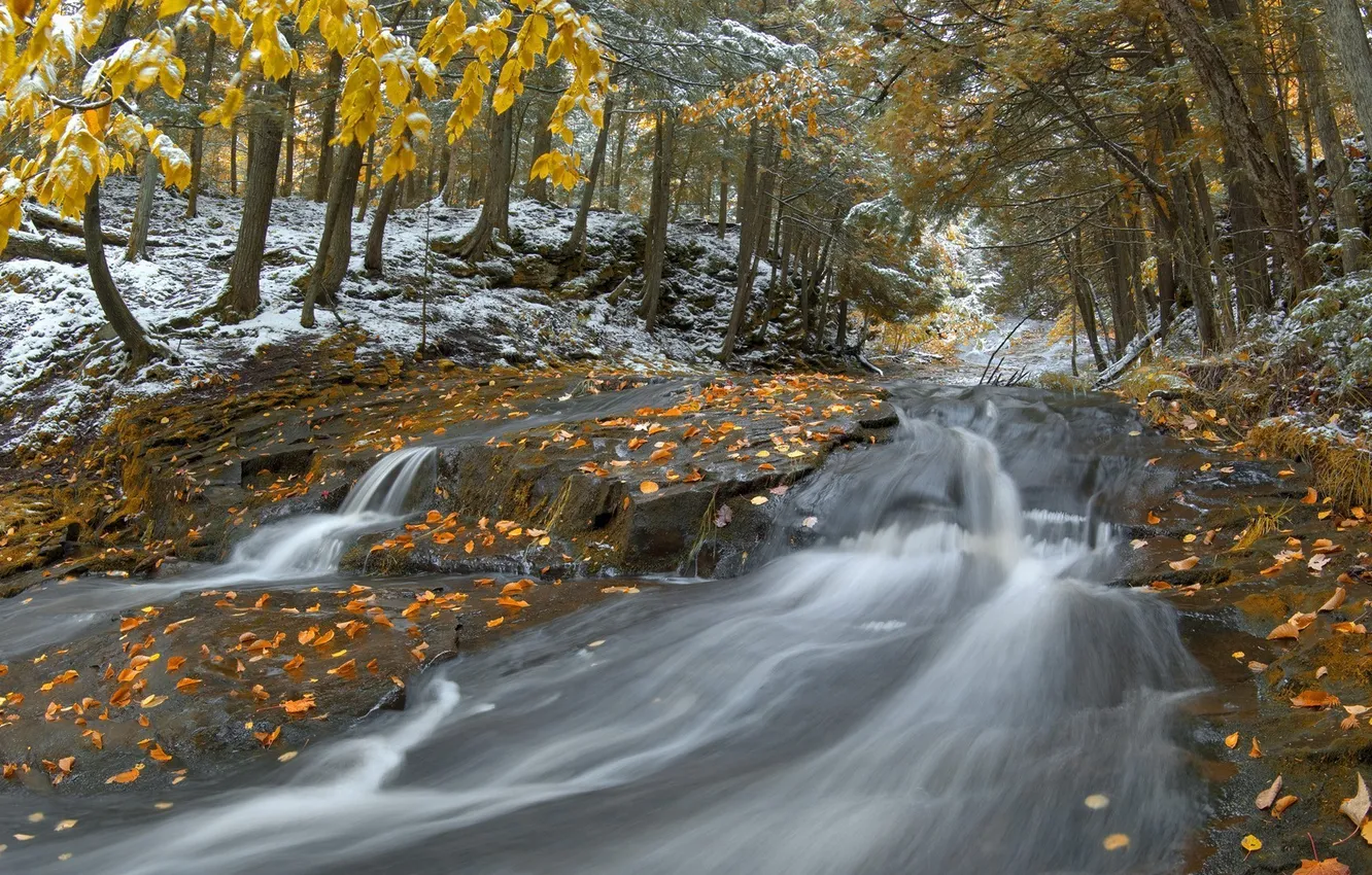 Photo wallpaper forest, snow, river, Nature, late autumn
