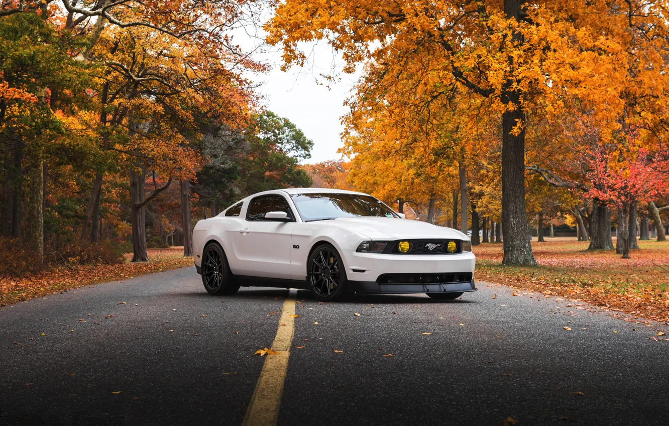 Photo wallpaper Mustang, Ford, white, '2009