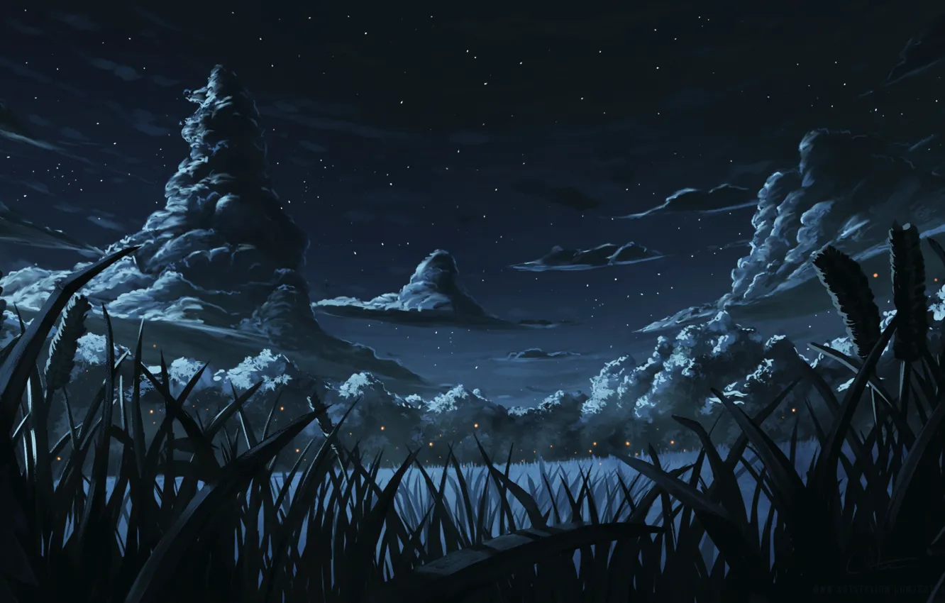 Photo wallpaper the sky, landscape, night