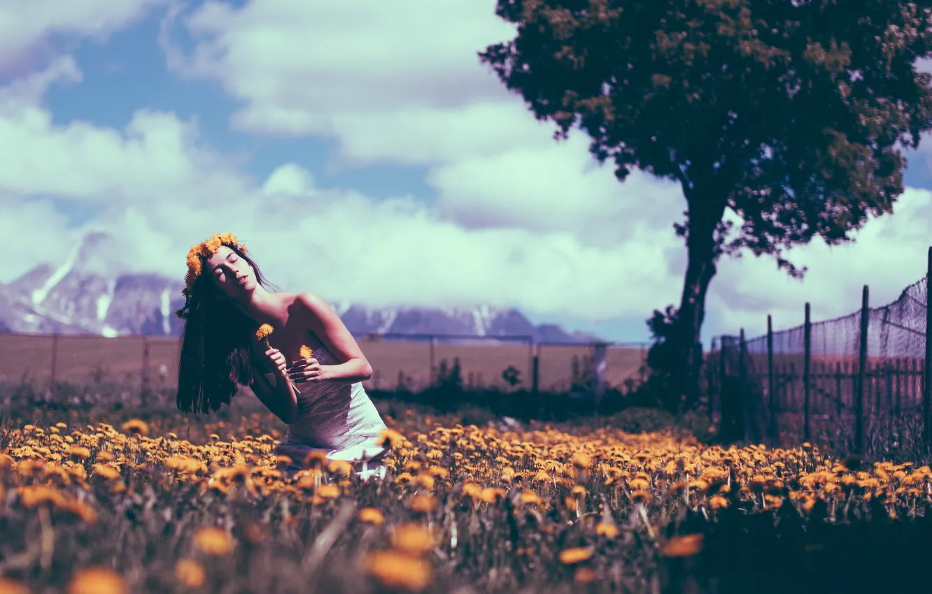 Photo wallpaper summer, girl, flowers, mood