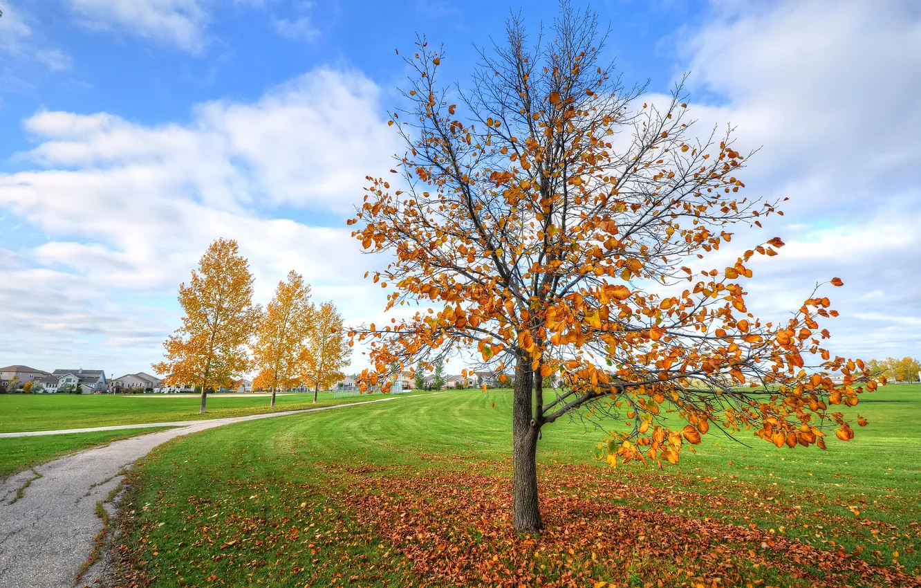 Photo wallpaper autumn, the sky, grass, trees, home, track