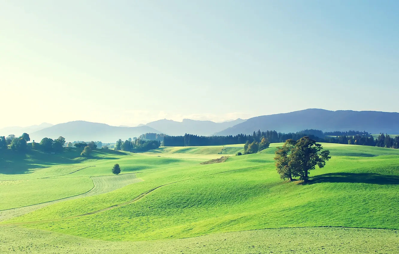 Photo wallpaper field, the sky, clouds, trees, landscape, mountains
