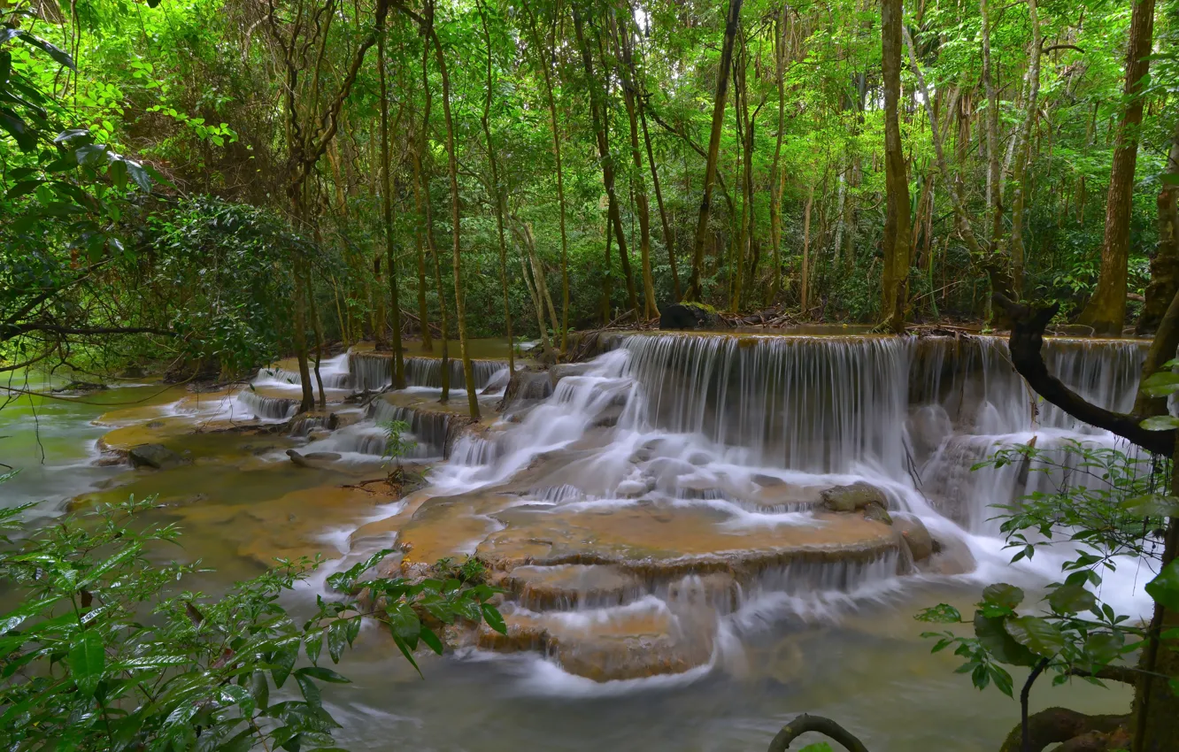 Photo wallpaper forest, landscape, river, rocks, waterfall, summer, forest, tropical
