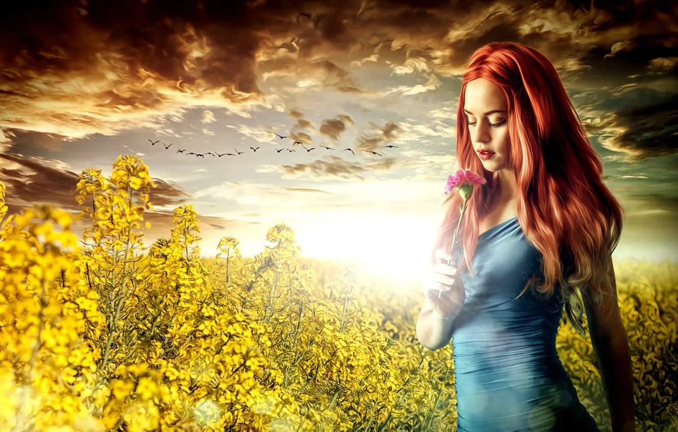 Photo wallpaper girl, sunset, flowers, meadow