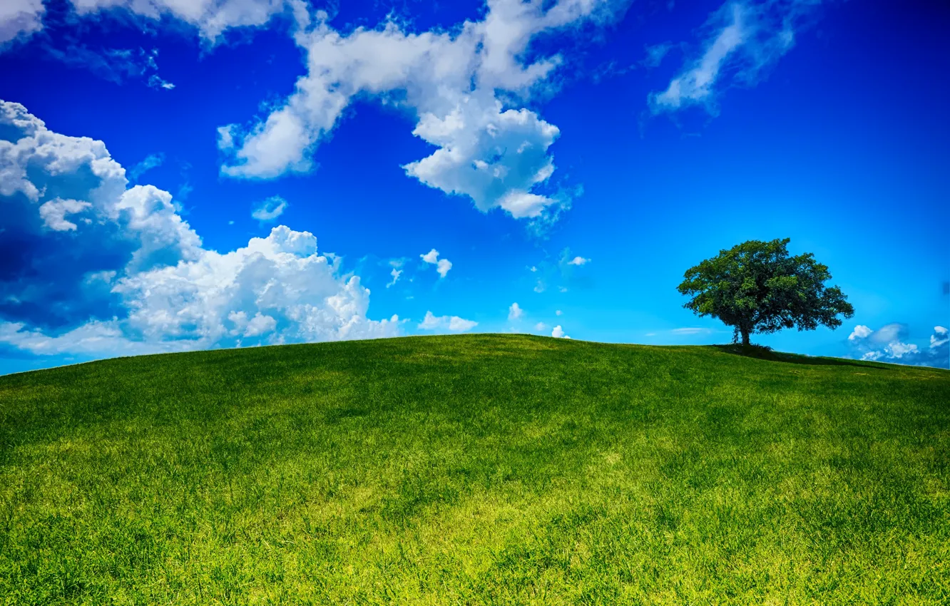 Photo wallpaper field, the sky, grass, clouds, landscape, nature, tree, hill
